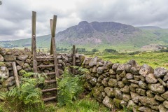 Buckbarrow