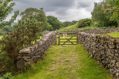 Wasdale walk