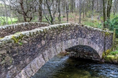 Lund Bridge Wasdale