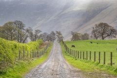Nether Wasdale walk