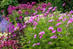 Newby Hall garden, borders