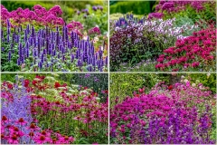 Newby Hall garden, borders