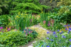 Newby Hall Gardens, Water Garden