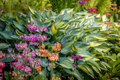 Newby Hall Gardens, Water Garden