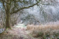 Northcliffe Wood