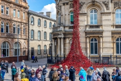 Hull City of Culture, Weeping winddow