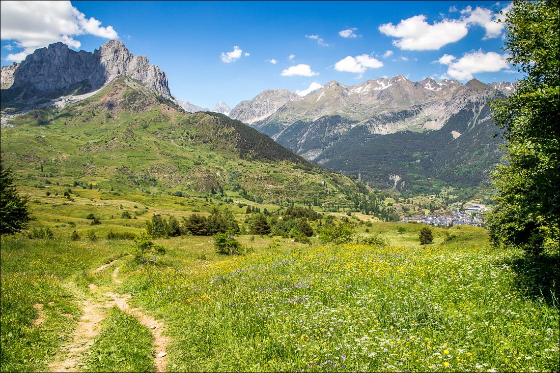 Meadows, wildfolwers, Pyrenees