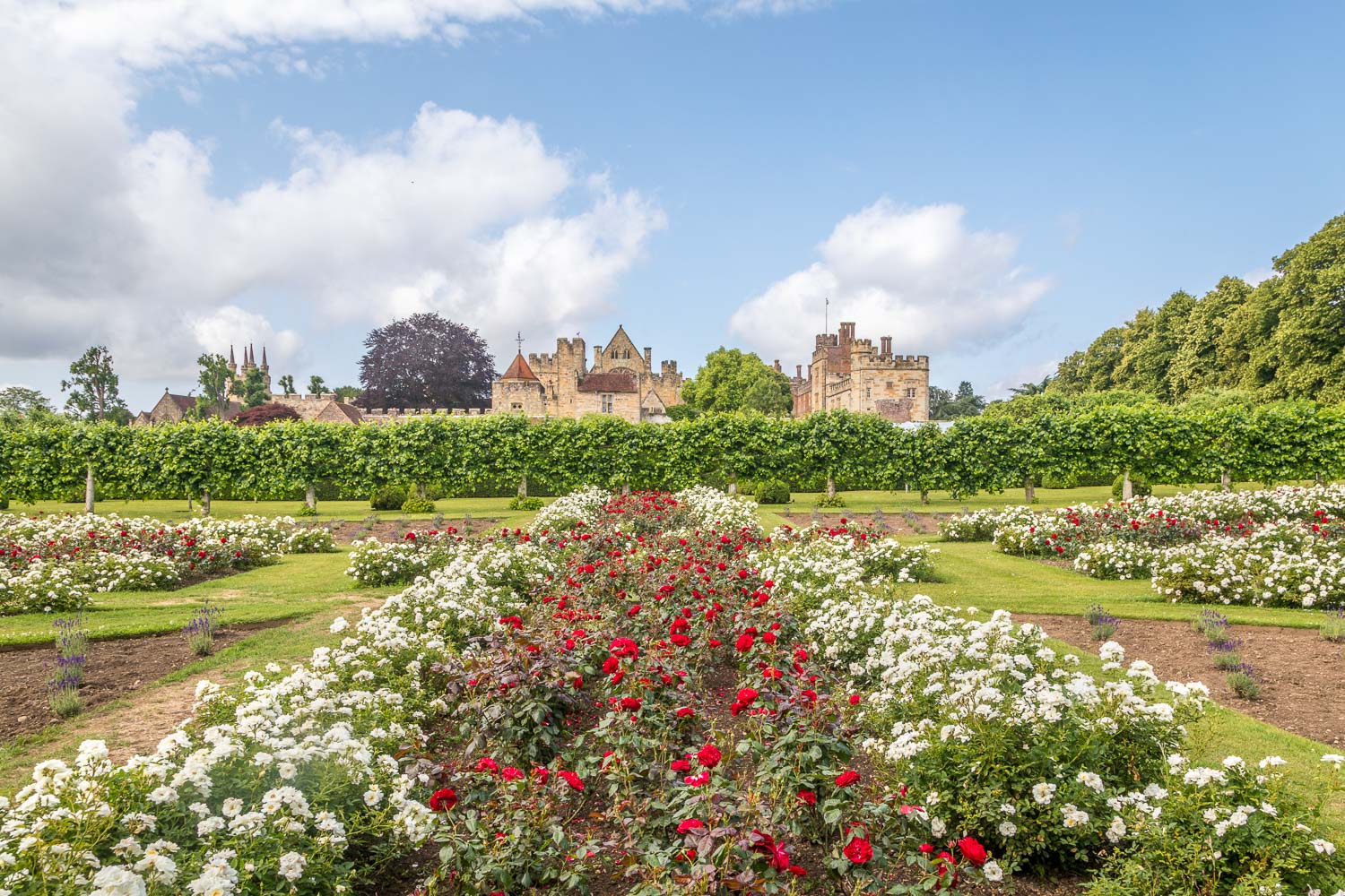 Union Flag Garden, Penshurst Place Union Flag Garden, Penshurst Place