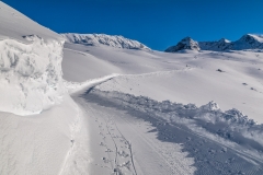 Philosophers' Trail