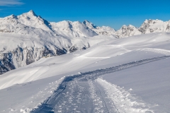 Philosophers' Trail