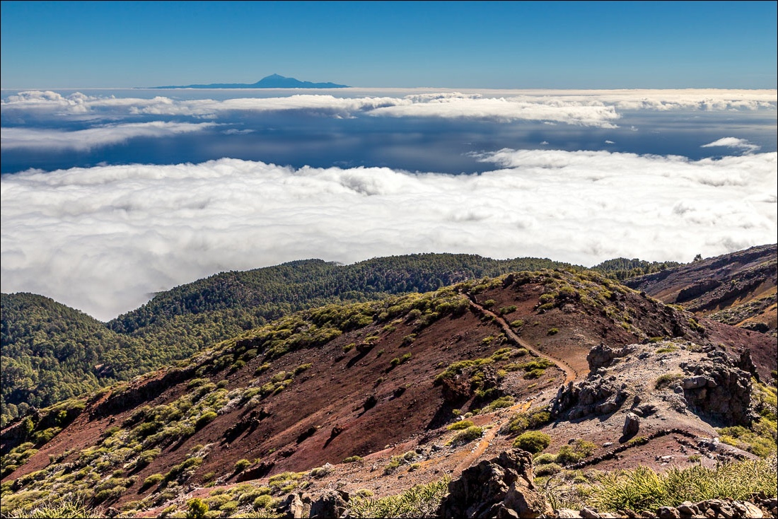 Pico de la Nieve walk, La Palma