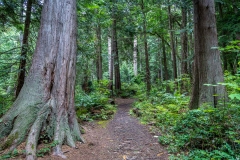 Millennium Park, Powell River
