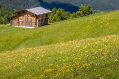 Pralongia meadows