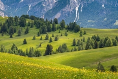 Pralongia meadows
