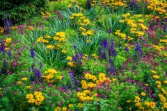 Quarry Gardens, Queen Elizabeth Park, Vancouver