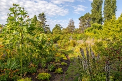 Queen Elizabeth Park