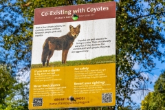 Coyote sign