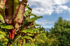 Queen Elizabeth Park, Vancouver