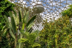Bloedel Conservatory dome, Queen Elizabeth Park