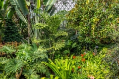 Bloedel Conservatory, Queen Elizabeth Park