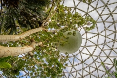 Bloedel Conservatory dome, Queen Elizabeth Park
