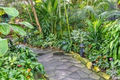 Bloedel Conservatory, Queen Elizabeth Park
