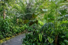 Bloedel Conservatory, Queen Elizabeth Park