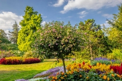 Quarry Gardens, Queen Elizabeth Park, Vancouver