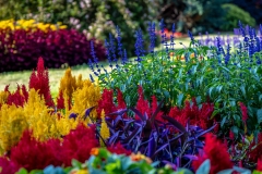 Quarry Gardens, Queen Elizabeth Park, Vancouver