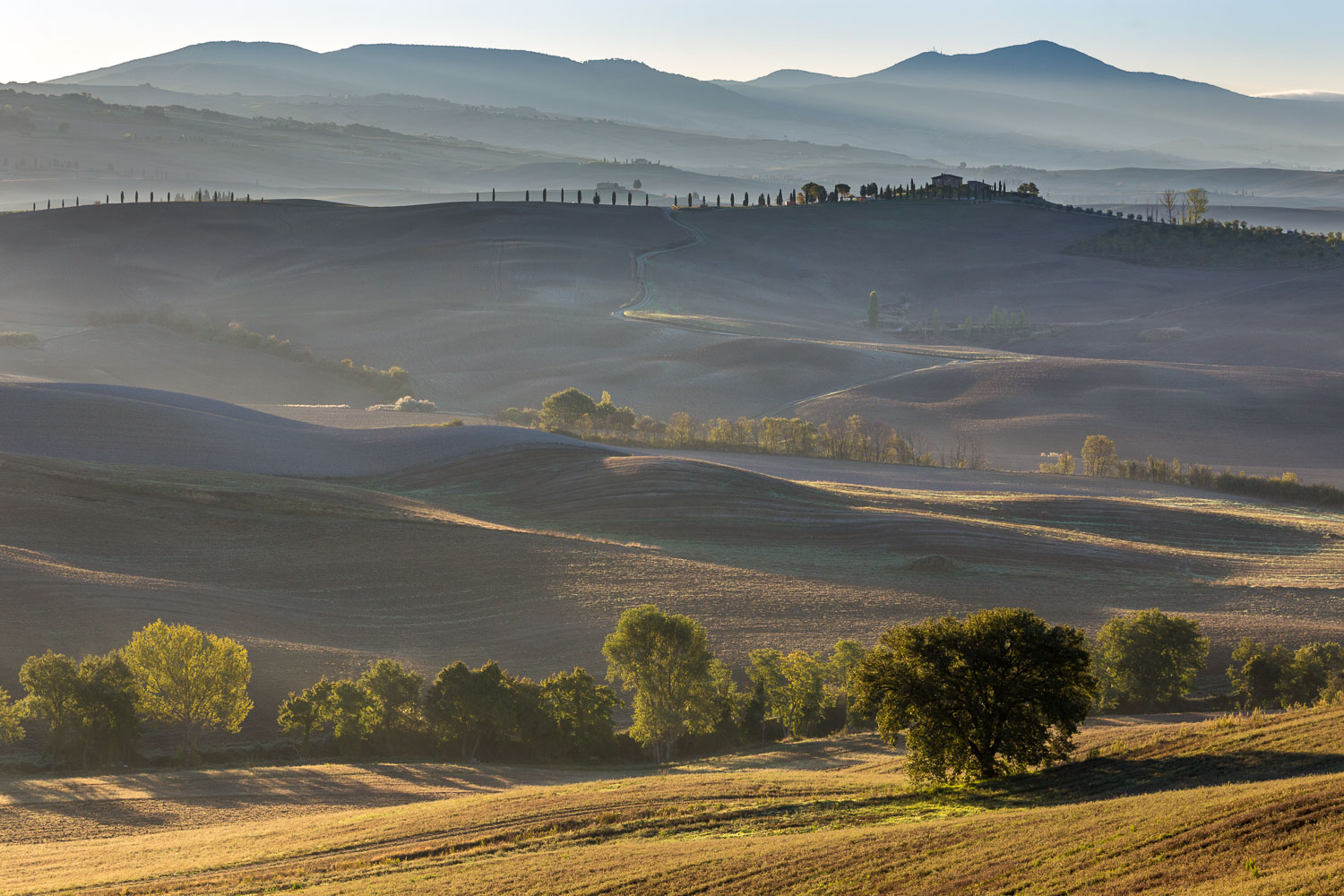 Val d'Orcia dawn