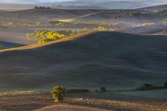 Val d'Orcia dawn