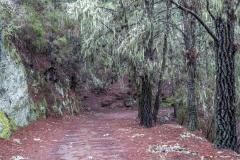 Orotava Valley