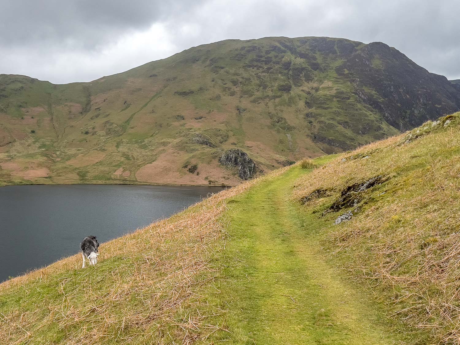 Crummock Water, Hause Point