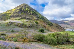 Rannerdale Knotts