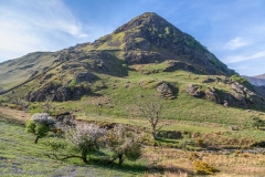 Rannerdale Knotts