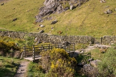 Squat Beck bridge