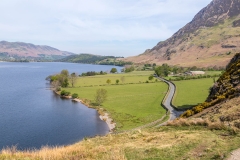Buttermere road
