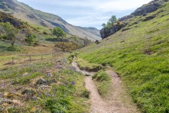 Rannerdale bluebells