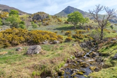 Squat Beck, Rannerdale