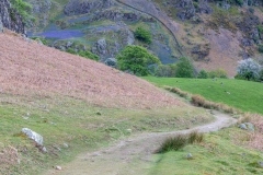 Rannerdale bluebells