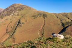 Rannerdale Knotts