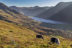 Rannerdale Knotts