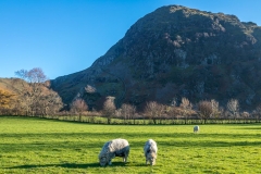 Rannerdale Knotts