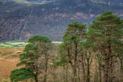 Sourmilk Gill