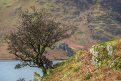 Rannerdale Knotts walk