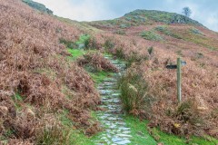 Rannerdale Knotts walk, Hause Point