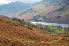 Haystacks, herdwick
