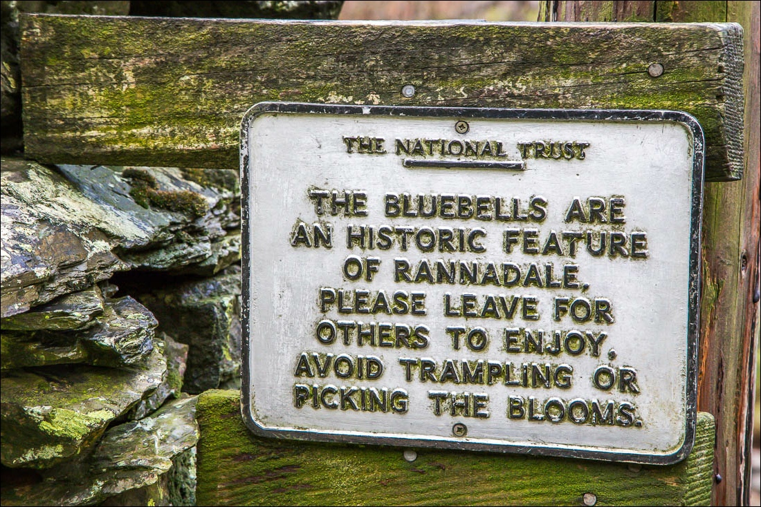 Rannerdale bluebells sign