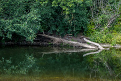 River Swale