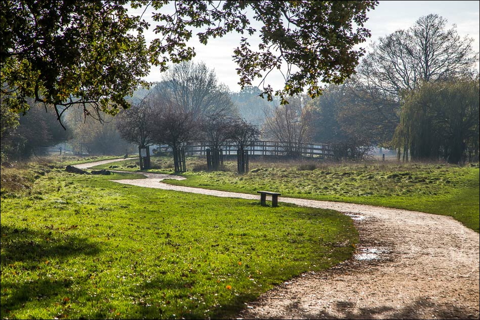Beverley Brook Richmond Park